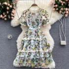 Lace Collar Flower Embroidered Mesh Dress