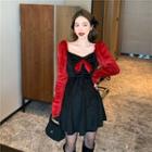 Long-sleeve Mini A-line Velour Dress
