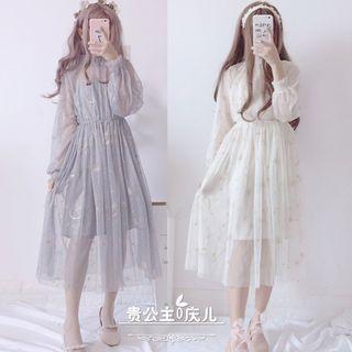 Set: Long-sleeve A-line Midi Sheer Dress + Slipdress