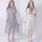 Set: Long-sleeve A-line Midi Sheer Dress + Slipdress