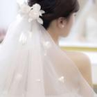 Wedding Mesh Hair Clip / Gloves / Earring