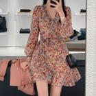 Long-sleeve V-neck Floral Print A-line Dress