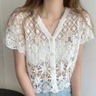 Short-sleeve V-neck Crochet Crop Top