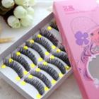 False Eyelashes #f21 (10 Pairs) As Shown In Figure - One Size