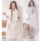 Long-sleeve Midi Mesh Tiered Dress