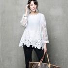 Sheer-sleeve Lace-panel Top