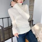 Turtleneck Ribbed Sweater In 5 Colors