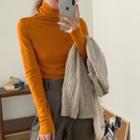 Long-sleeve Turtleneck Knit Top Knit Top - Tangerine - One Size