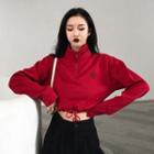 Mock-neck Cropped Sweatshirt Red - One Size