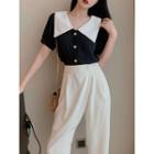 Pointy-collar Chiffon Top / Wrapped Crop Pants