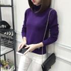 Lace Trim High Neck Sweater