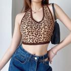 Leopard Print Knit Crop Tank Top