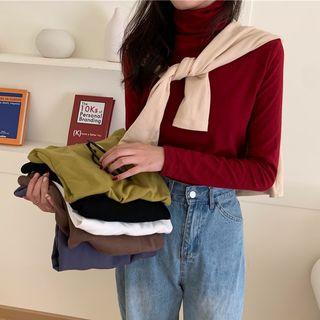 Plain Turtleneck Top (various Colors)