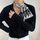 Printed Silk Narrow Scarf Black - 150x15cm - J311