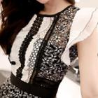 Ruffle-sleeve Lace A-line Mini Dress