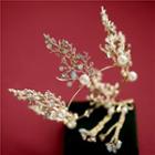 Wedding Set: Faux Pearl Branches Tiara + Fringed Earring Crown & Clip On Earring - One Size