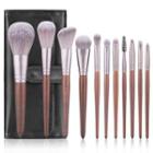 Set Of 11: Makeup Brush / Case