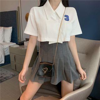 Embroidered Short Sleeve Cropped Top / Pleated Skirt
