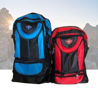 Paneled Hiking Backpack