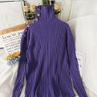 Details High-neck Ribbed-knit Sweater In 7 Colors