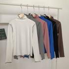 Plain Long Sleeve Cropped  T-shirt