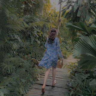 Printed Blouse / Long-sleeve Shift Dress