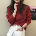 Mock-neck Rib-knit Sweater In 8 Colors