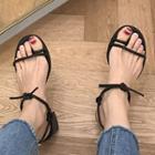 Block Heel Toe Loop Ankle Strap Sandals