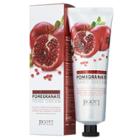 Jigott - Real Moisture Pomegranate Hand Cream 100ml/3.38oz