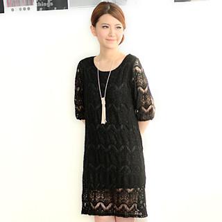 Knit Lace Shirt Dress Black - One Size