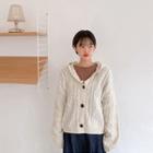 Hooded Wool Blend Cable-knit Cardigan