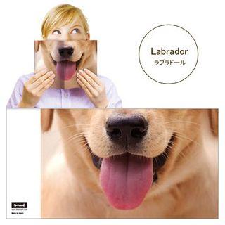 Animal Mask Book Cover (labrador)