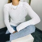 Long Sleeve Pointelle Knit Sweater