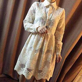 Lace Collar Dress