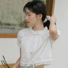 Lace Trim Bow Cropped Blouse