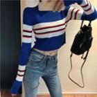 Striped Crop Knit Top Milky White - One Size