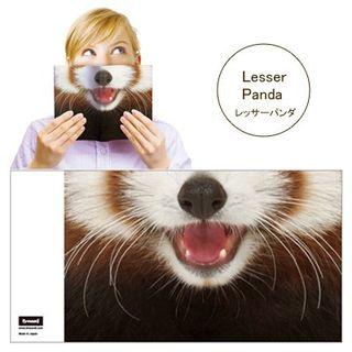 Animal Mask Book Cover (lesser)