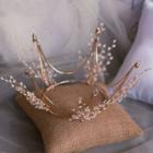 Set: Bridal Rhinestone Beaded Crown + Clip-on Dangle Earring Gold - One Size