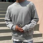 Boxy-fit Sweatshirt In 11 Colors