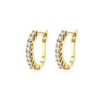 Fashion And Bright Plated Gold Earrings With Cubic Zircon Golden - One Size