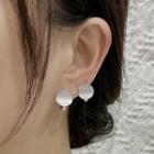 Brush Alloy Dangle Earring 1 Pair - Silver - One Size