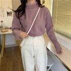 Animal Embroidered Fleece Long-sleeve Top (various Design)