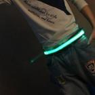 Led Nylon Belt