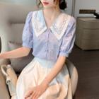 Contrast Collar Eyelet Lace Puff Sleeve Blouse