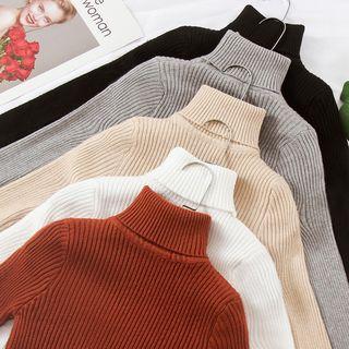 Long-sleeve Turtleneck Neck Knit Top