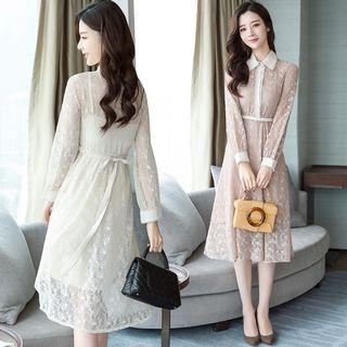 Lace Collared Long Sleeve Dress