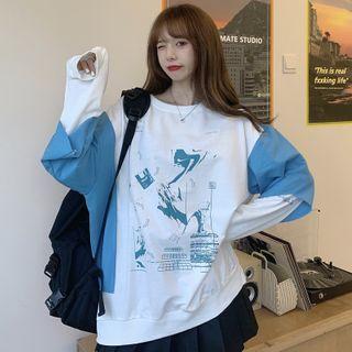 Panel Sleeve Printed Round Neck Pullover