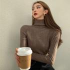 Brushed Turtleneck Ribbed Sweater In 6 Colors