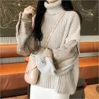 Turtle-neck Shirt-sleeve Sweater
