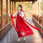 Long-sleeve Embroidered Top/ Midi Tube Dress/ Jacket/ Scarf/ Hanfu Set
